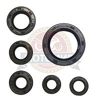 Набор сальников двигателя LF163 FML-2MP (6 шт)